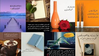 Life Best Islamic Quotes | True Line Urdu Poetry & Urdu Shayari | Sadaf poetry |