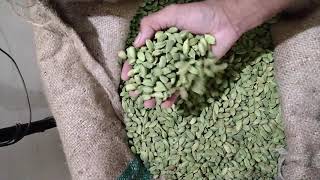 8mm BOLD GREEN CARDAMOM | GREEN CARDAMOM KERALA ORIGIN | EXPORTS POINT | EXPORT IMPORT INDIAN SPICES