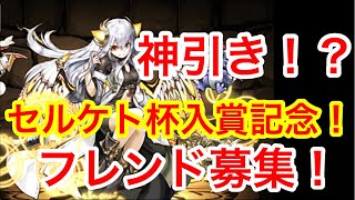 【パズドラ実況】龍契士＆龍換士ガチャ！＋フレンド募集！【ダックス】ねむい