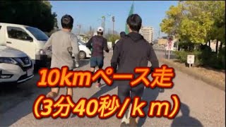 10kmペース走（3分40秒/ｋｍ）