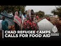 UN calls for urgent support to avoid cuts to food aid for refugees in Chad