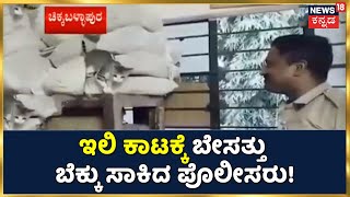 ಇಲಿ ಕಾಟಕ್ಕೆ ಬೇಸತ್ತು Police Stationನಲ್ಲಿ ಬೆಕ್ಕು ಸಾಕಿದ ಪೊಲೀಸರು; Chikkaballapur ಜಿಲ್ಲೆಯಲ್ಲಿ ಘಟನೆ