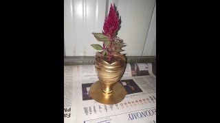 Flower Pot with Plastic Bottle#Best out of waste#DIY#Water Bottle craft#Reuse craft/saidas craft