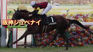 阪神ジュベナイルフィリーズ（G1）　直感予想！