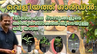 വെളിയത്ത് ഗാർഡൻ: വിദേശ ഫല സസ്യങ്ങളുടെ അത്ഭുതലോകത്തിലൂടെയുള്ള ഒരു യാത്ര....