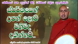 ස්පර්ශයෙන් උපන් ලොව විනිවිද දකින්නට.අතිපූජනීය කොත්මලේ කුමාරකස්සප ස්වාමීන් වහන්සේ.