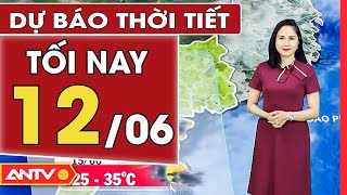 Dự báo thời tiết tối ngày 12/6: Hà Nội không mưa, TP. HCM có mưa rào và dông vài nơi | ANTV