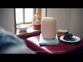 Introducing Nest Audio from Google