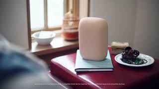 Introducing Nest Audio from Google