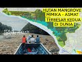 MENGAPA HUTAN MANGROVE DI PAPUA PENUH SAMPAH PLASTIK ?