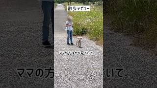 出会えた幸せ💓　#shorts#short#ゴールデンレトリバー#犬#子犬#犬のいる暮らし#大型犬#ゴルパピ#dog#goldenretriever#japan