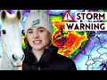 Storm Warning! This Has Been Scary.. | This Esme