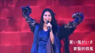 福音戰士主題曲《殘酷天使的行動綱領》現場演唱版 中日字幕