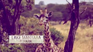 Safaris Tanzania \u0026 Zanzibar Island Highlights