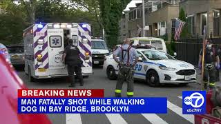 LLN on ABC7 - Man Fatally Shot - Bay Ridge Brooklyn 68 Precinct