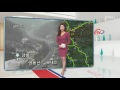 해맞이 행렬 ...영동선·서해안 정체 시작 ytn yes top news