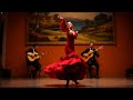 flamenco spanish guitar music flamenco music