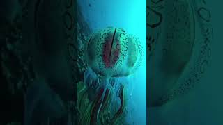 A rare jellyfish,sited only twice in recorded history. #nature #viralnature #viral_video