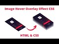 Create a Image Hover Overlay Effects | CSS Image Hover Effects | HTML CSS Effect