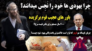 یهودیان 2000 سال است دنبال گوساله ای به نام تلیسه سرخ میگردند تا با خاکستر آن خود را تطهیر کنند!!!؟