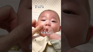 둥이 육아의 하루(생후147, 교정96) #남매쌍둥이 #용띠아기 #육아 #이른둥이 #아빠의육아휴직