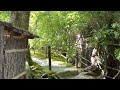 京都嵯峨野 苔の寺 祇王寺を散策 walking around giouji temple 【4k】