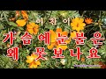 이찬이 ☆ 가슴에 눈물은 왜 못보나요