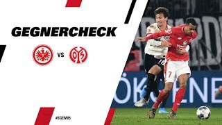 Robin Quaison alleine reicht nicht I Gegnercheck FSV Mainz - Eintracht Frankfurt