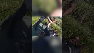 Suspect Arrested After Jumping in Pond to Escape Florida Deputies