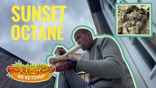 Sunset Octane Strain Review | KUSH NO KETCHUP