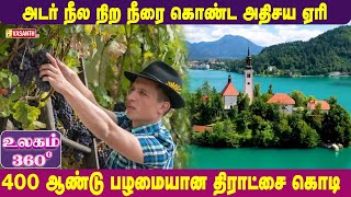 அடர் நீல நிற நீரை கொண்ட அதிசய ஏரி | Slovenia | Ulagam 360 | Vasanth TV