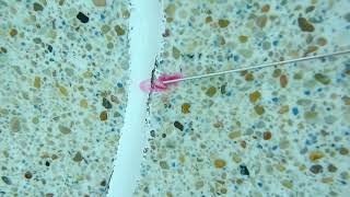 Vertical Pool Finish Crack