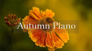 10월에 어울리는 잔잔한 피아노 선율🍂 가을에 어울리는 피아노곡 | 𝐓𝐇𝐄 𝐏𝐈𝐀𝐍𝐎