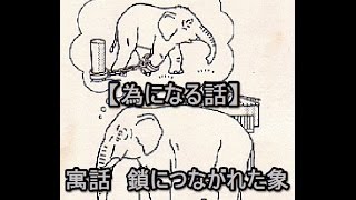 【為になる話】寓話　鎖につながれた象