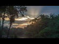 Nature Sounds - Dawn in the Amazon Jungle