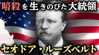 【ゆっくり歴史解説】セオドア・ルーズベルトの生涯：アメリカを変えた大統領の波瀾万丈な人生