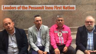 The Pessamit's Story