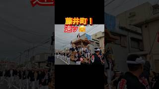 【ぎょ❗️初めて❗️🤩だんじり天神7町❗️大集合㊗️🎊岸和田👍】