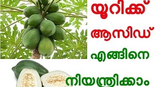 യൂറിക്ക് ആസിഡ് എങ്ങിനെ നിയന്ത്രിക്കാം How to Lower Uric Acid  Naturally