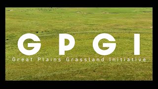 Rancher removes cedar trees with USDA NRCS and the Great Plains Grassland Initiative (GPGI)