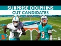 6 Potential Surprise Miami Dolphins Cut Candidates Ft. Robbie Chosen, Liam Eichenberg & Ced Wilson