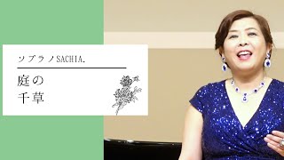 庭の千草（菊）唱歌　ソプラノ歌手SACHIA. さちあ　原曲アイルランド民謡　夏の名残のバラ　日本の歌　叙情歌　ヒーリングボイス　癒しの歌声