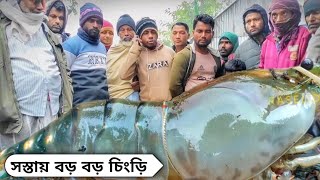 সস্তায় পাইকারি মাছ বাজার দোহার মেঘুলা ঘাটে |  Today Fishmarket Dohar Dhaka |  wholesale fish market