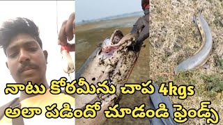 #నాటు #కోరమీను #చాప #అలా #పడిందో #చూడండి #మామా #fishing #hunting #new #fish #fishingtricks