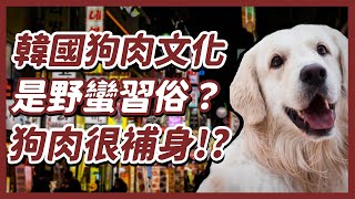 韓國竟然吃狗肉?! 外國人不知道的狗肉文化 | 狗肉文化是野蠻習俗？現在還看的到販售狗肉店家嗎? [ 國際議題 | 韓國 ]