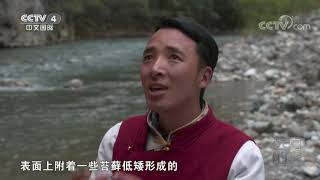 [远方的家]世界遗产在中国 金沙江一山四季景观| CCTV中文国际