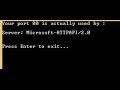 Port 80 used by Microsoft-HTTPAPI/2.0 WAMP Server error