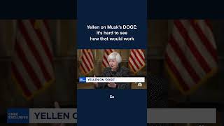 Yellen on Musk's DOGE: It's hard to see how that would work