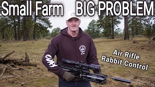 SMALL FARM DESTROYED BY RABBITS ● MY BIGGEST NIGHT EVER