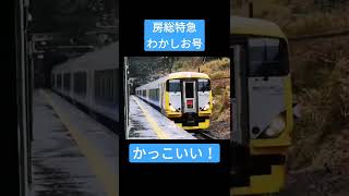 【衰退していく房総特急】行川アイランド駅で撮影!!!